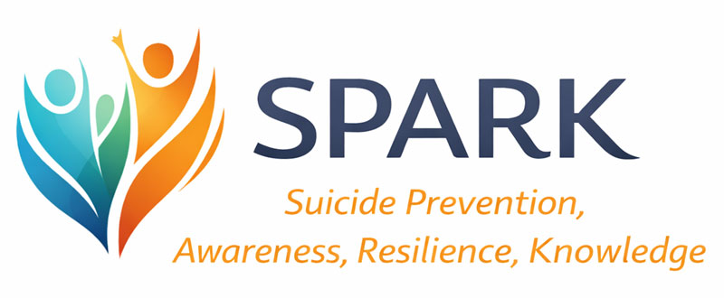 SPARK LOGO